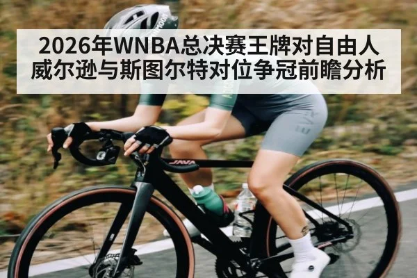 2026年WNBA总决赛王牌对自由人威尔逊与斯图尔特对位争冠前瞻分析